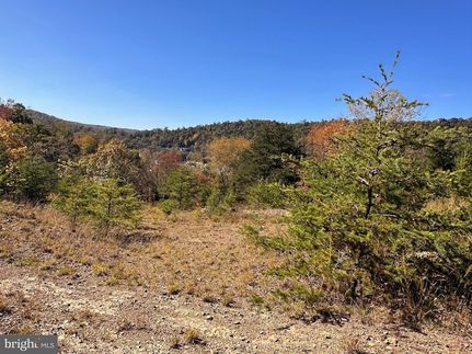 Undeveloped Land for sale in Morgan County, West Virginia