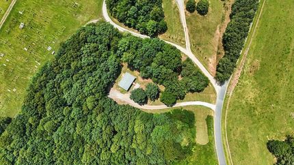 Residential Property for sale in Prince Edward County, Virginia