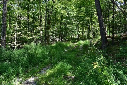 Ranch Property for sale in Orange County, New York