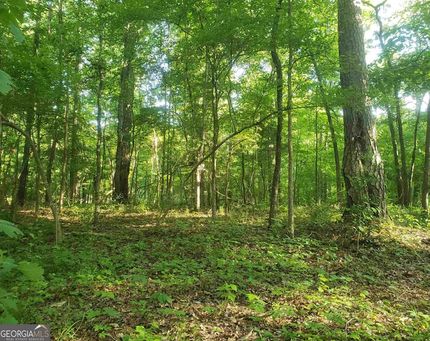 Recreational Property for sale in Troup County, Georgia