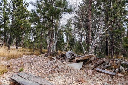 Undeveloped Land for sale in Lawrence County, South Dakota