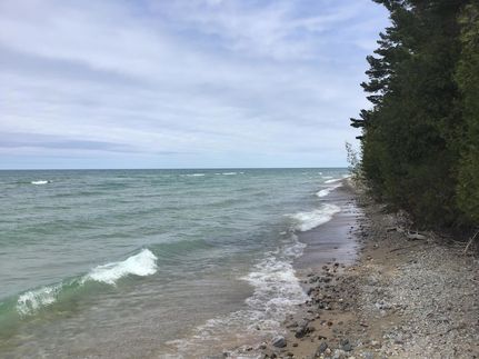 Undeveloped Land for sale in Cheboygan County, Michigan