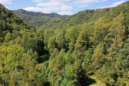Ranch Property for sale in Wyoming County, West Virginia