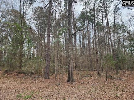 Undeveloped Land for sale in Newberry County, South Carolina
