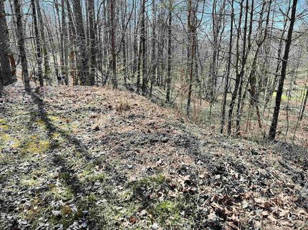 Residential Property for sale in Randolph County, West Virginia
