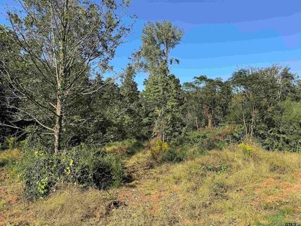 Ranch Property for sale in Cherokee County, Texas