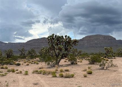 Undeveloped Land for sale in Mohave County, Arizona
