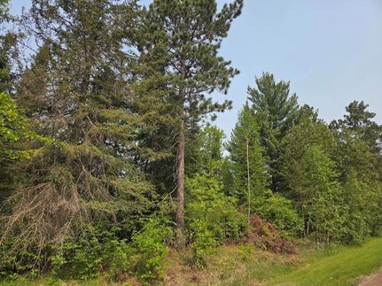Recreational Property for sale in Beltrami County, Minnesota