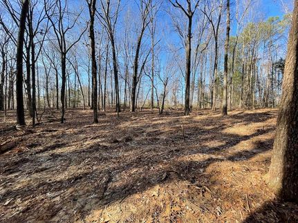 Farm Property for sale in Carroll County, Tennessee