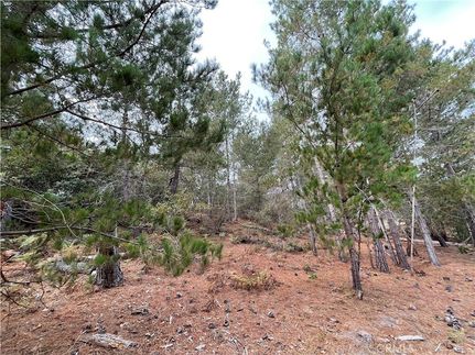 Farm Property for sale in San Luis Obispo County, California