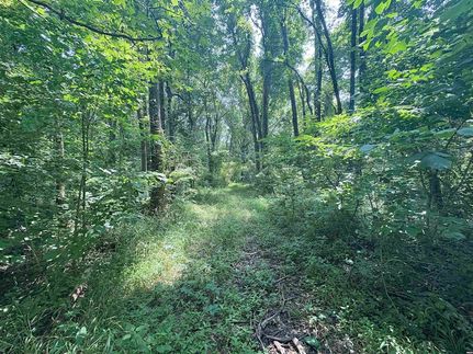 Undeveloped Land for sale in Obion County, Tennessee