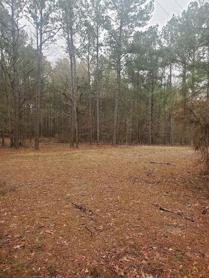 Farm Property for sale in Vernon Parish, Louisiana