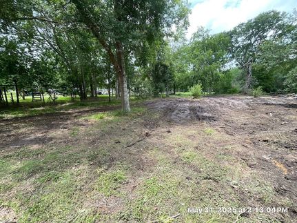 Timberland Property for sale in Brazoria County, Texas