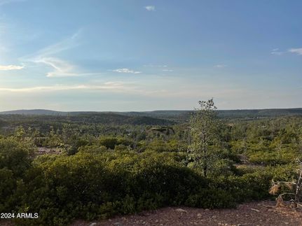 Ranch Property for sale in Navajo County, Arizona