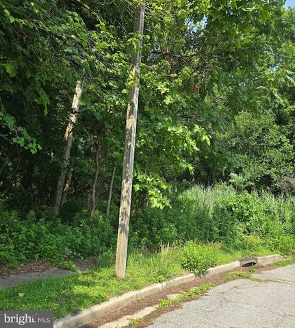 Timberland Property for sale in Salem County, New Jersey