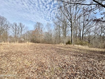 Recreational Property for sale in Tate County, Mississippi