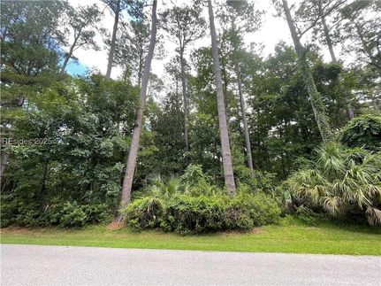 Undeveloped Land for sale in Beaufort County, South Carolina