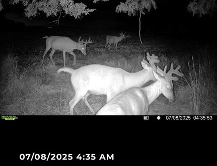 Farm Property for sale in Pepin County, Wisconsin