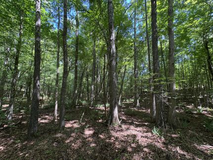 Farm Property for sale in Lee County, Alabama