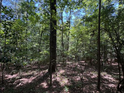Farm Property for sale in Lee County, Alabama