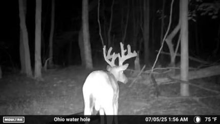 Recreational Property for sale in Scioto County, Ohio