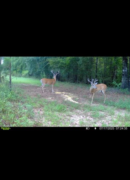 Farm Property for sale in Randolph County, Georgia