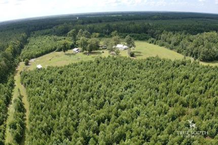 Farm Property for sale in Allendale County, South Carolina