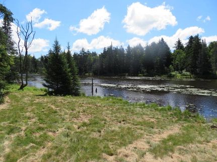 Farm Property for sale in Lewis County, New York