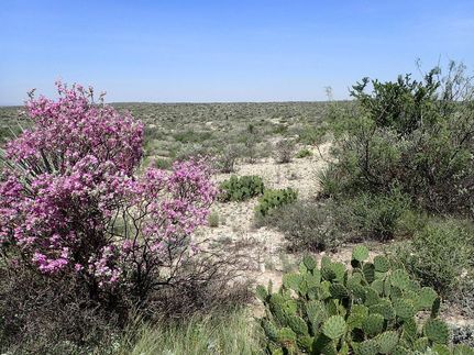 Property for sale in Terrell County, Texas