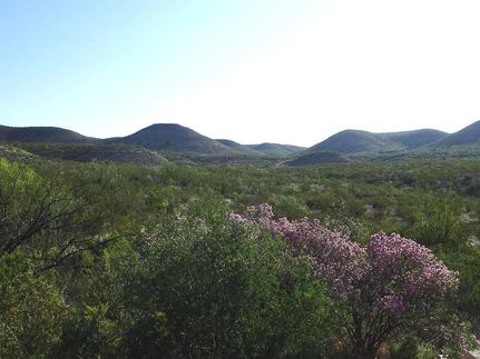 Property for sale in Terrell County, Texas