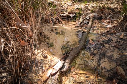 Farm Property for sale in Newton County, Texas