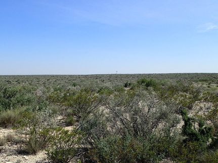 Ranch Property for sale in Terrell County, Texas