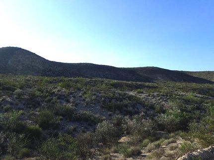 Recreational Property for sale in Terrell County, Texas