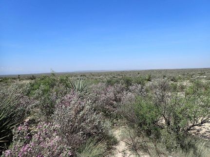 Property for sale in Terrell County, Texas