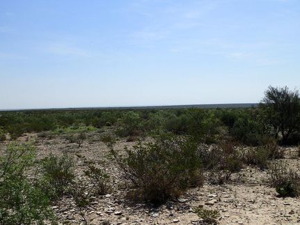 Farm Property for sale in Terrell County, Texas