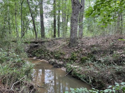 Ranch Property for sale in Sabine County, Texas