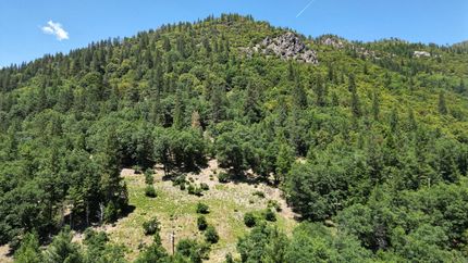 Residential Property for sale in Sierra County, California