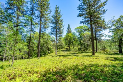 Farm Property for sale in Amador County, California