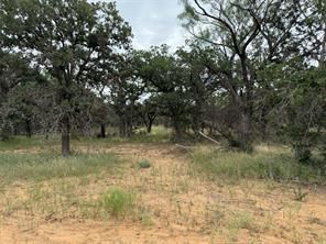 Timberland Property for sale in Brown County, Texas
