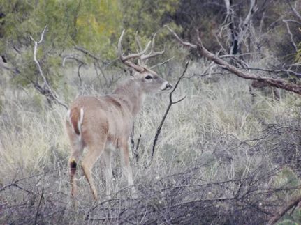 Farm Property for sale in Tom Green County, Texas