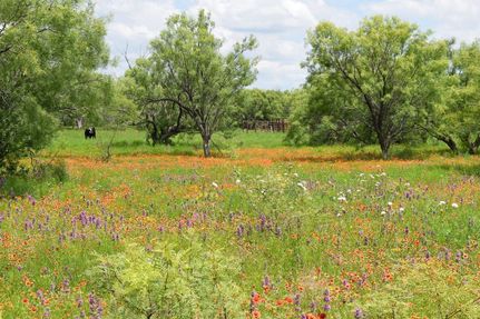 Farm Property in Brown County, Texas