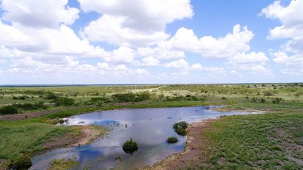 Timberland Property for sale in Runnels County, Texas