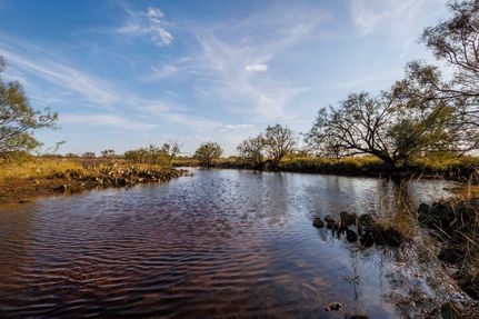 Recreational Property in Runnels County, Texas
