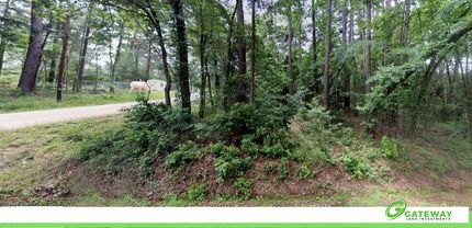 Ranch Property for sale in Smith County, Texas