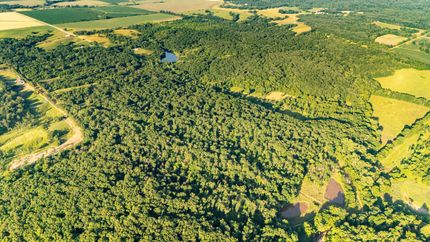 Farm Property for sale in Knox County, Missouri