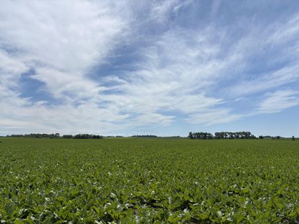 Farm Property for sale in Renville County, Minnesota