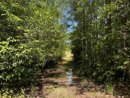 Farm Property for sale in Holmes County, Florida