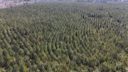 Farm Property for sale in Taliaferro County, Georgia