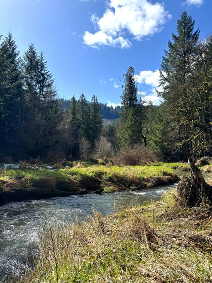 Timberland Property for sale in Benton County, Oregon