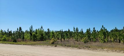 Farm Property for sale in Bladen County, North Carolina